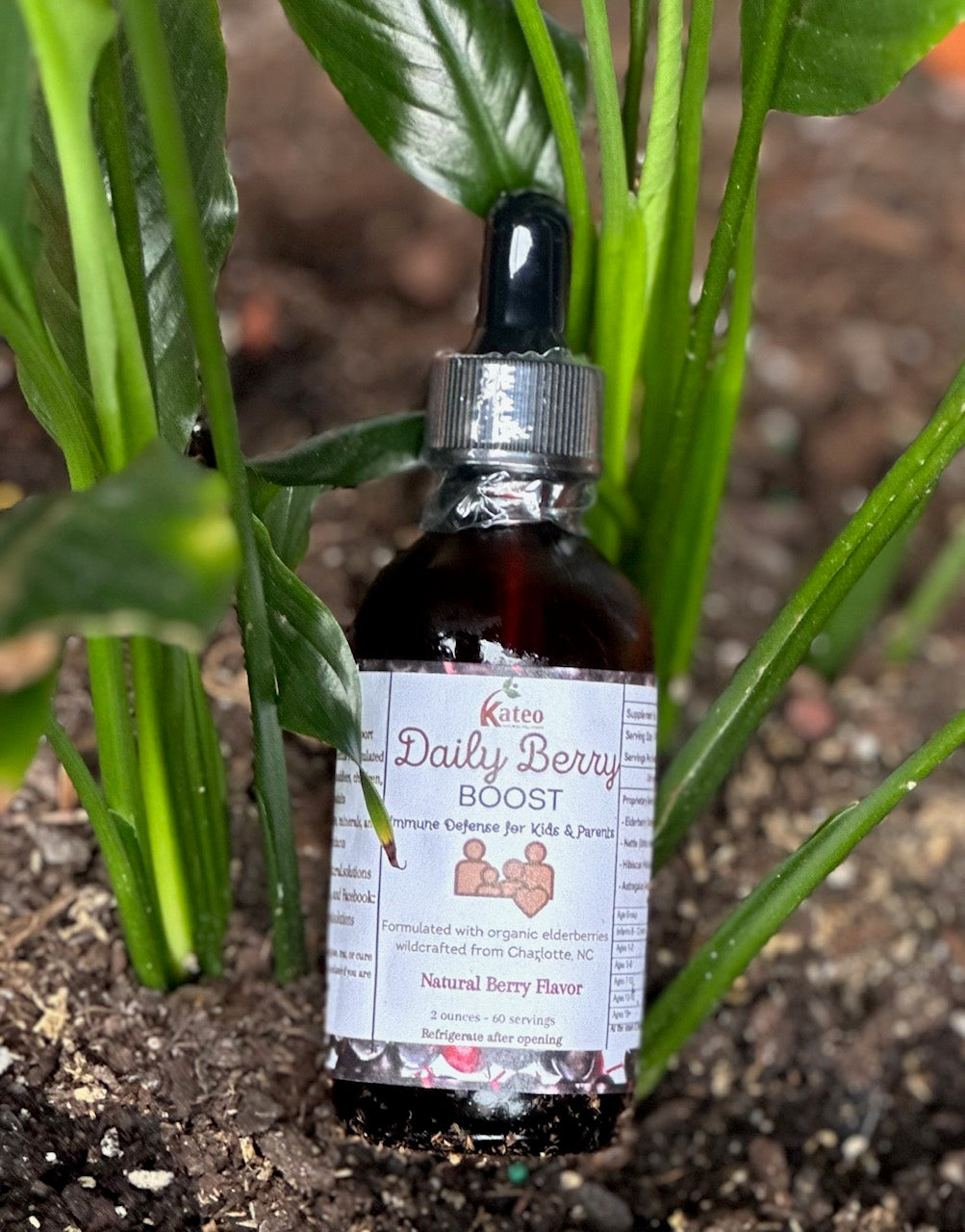 Daily Berry - Elderberry Drops image 0