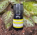 Nail Repair Oil - Toes and Fingers Support image 0