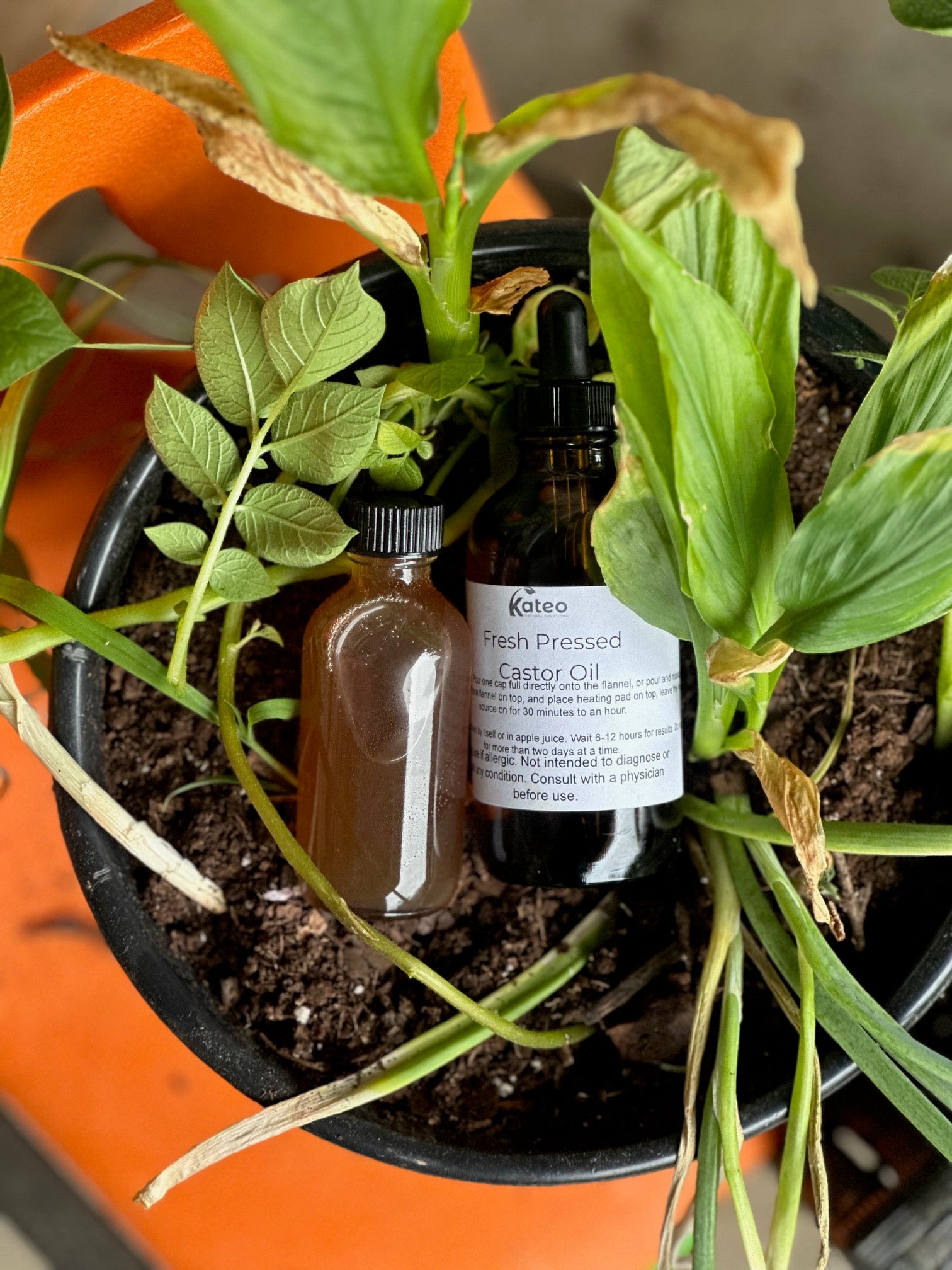 Womb Reset Challenge - Castor Oil Bonus Bundle